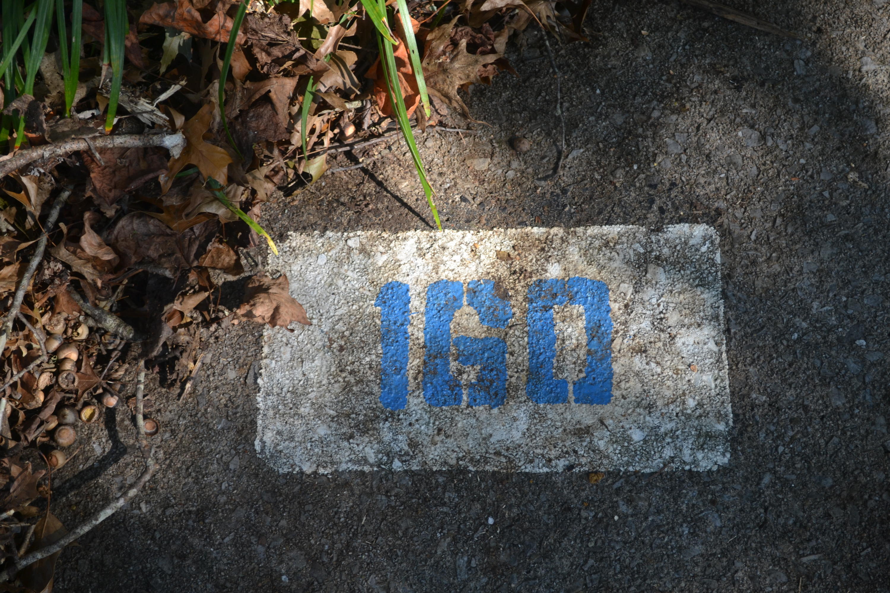 DSC_0874