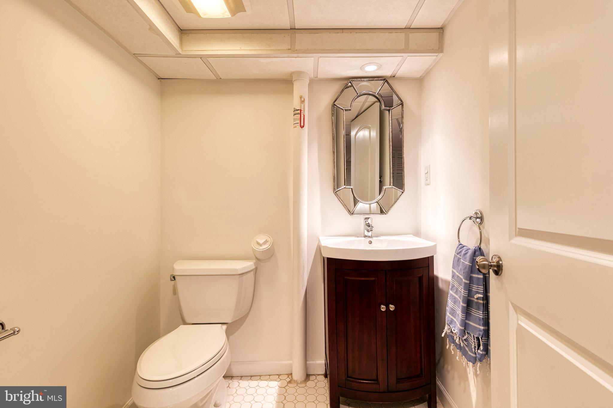 316 Broxton Road Baltimore, MD 21212 - Photo 47 of 53 Lower level half bath.