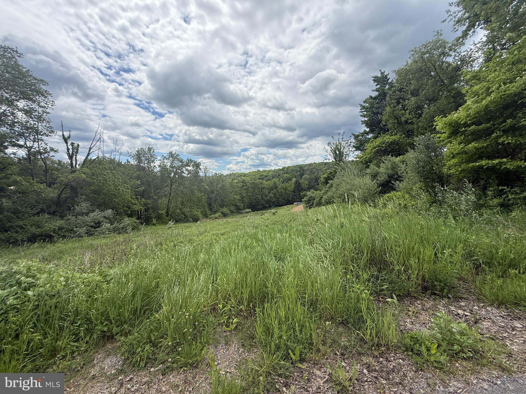 1355 Colvin Road Williamsport, PA 17701 - Photo 23 of 24
