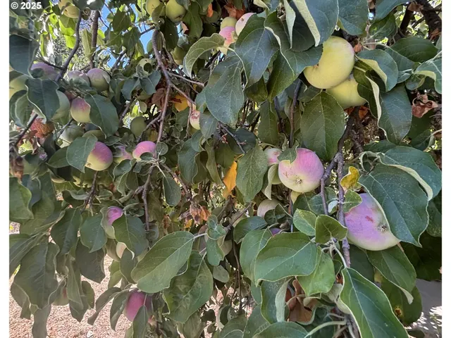 $445,000 | 1931 Sleepy Hollow Loop, Grants Pass, OR 97527