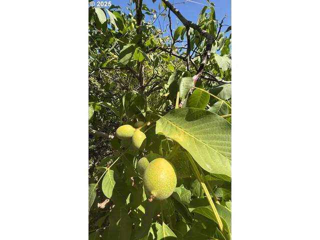 $445,000 | 1931 Sleepy Hollow Loop, Grants Pass, OR 97527