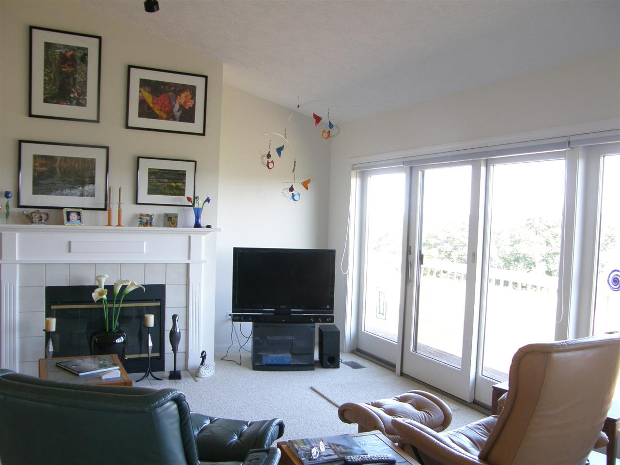 6270 Ridge Drive Benzonia, MI 49616 - Photo 4 of 46 1806389-3.JPG