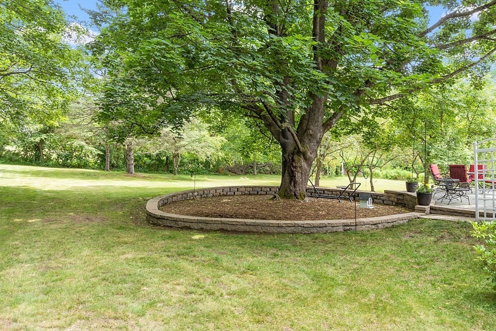 113 Green Road Bolton, MA 01740 - Photo 37 of 41 a view of a yard with large trees