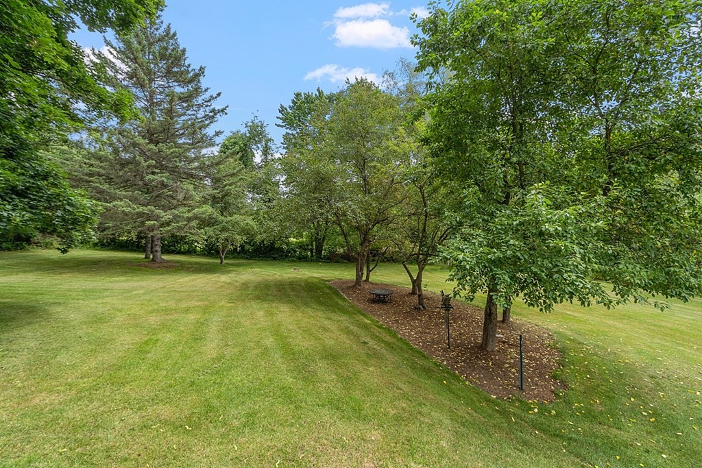 113 Green Road Bolton, MA 01740 - Photo 38 of 41 a view of a yard with a tree