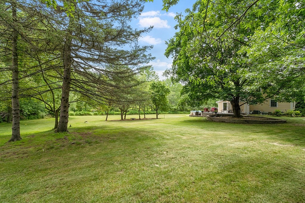 113 Green Road Bolton, MA 01740 - Photo 39 of 41 a view of a trees in a yard