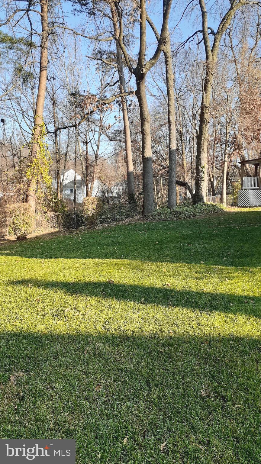 22 Tulip Tree Court Baltimore, MD 21221 - Photo 22 of 29 Gallery Image 22