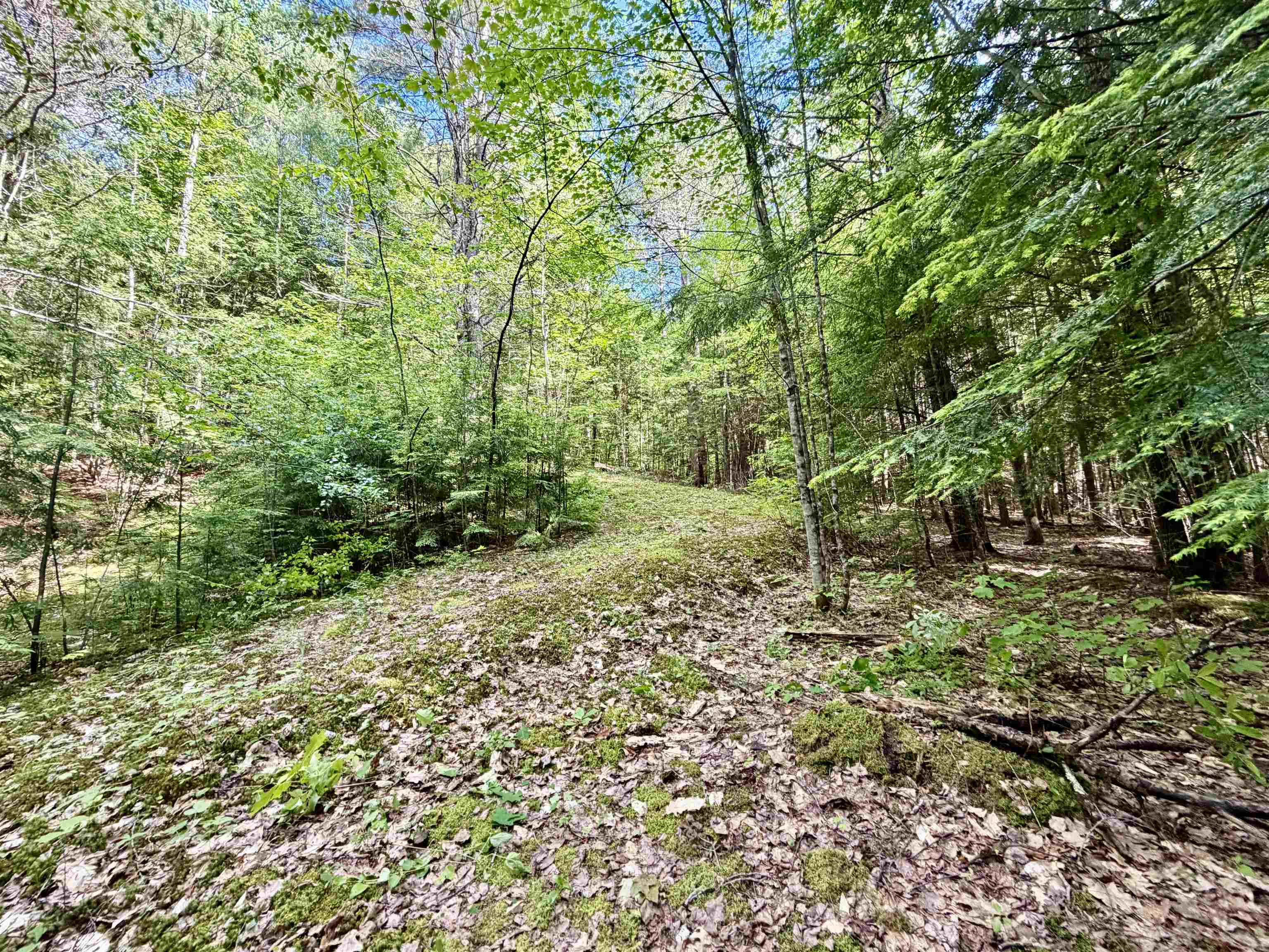 175 Nh Route Campton, NH 03223 - Photo 6 of 15