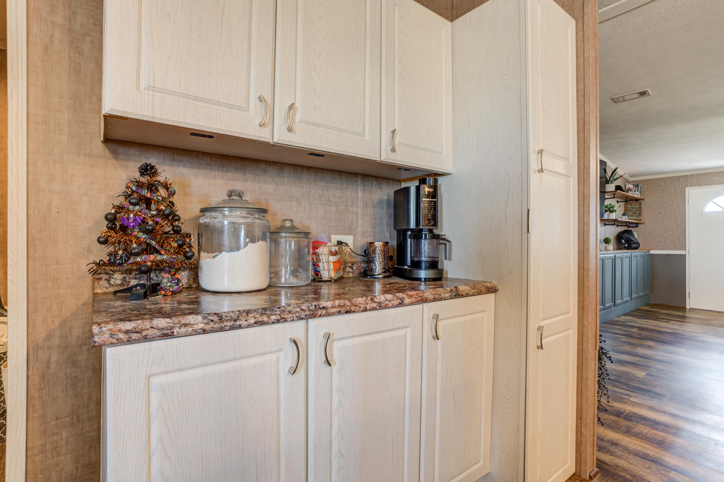 4726 County Road 5300 Lubbock, TX 79415 - Photo 18 of 53 a kitchen with granite countertop white cabinets and a sink