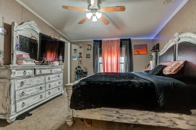 a bedroom with a bed couch and window