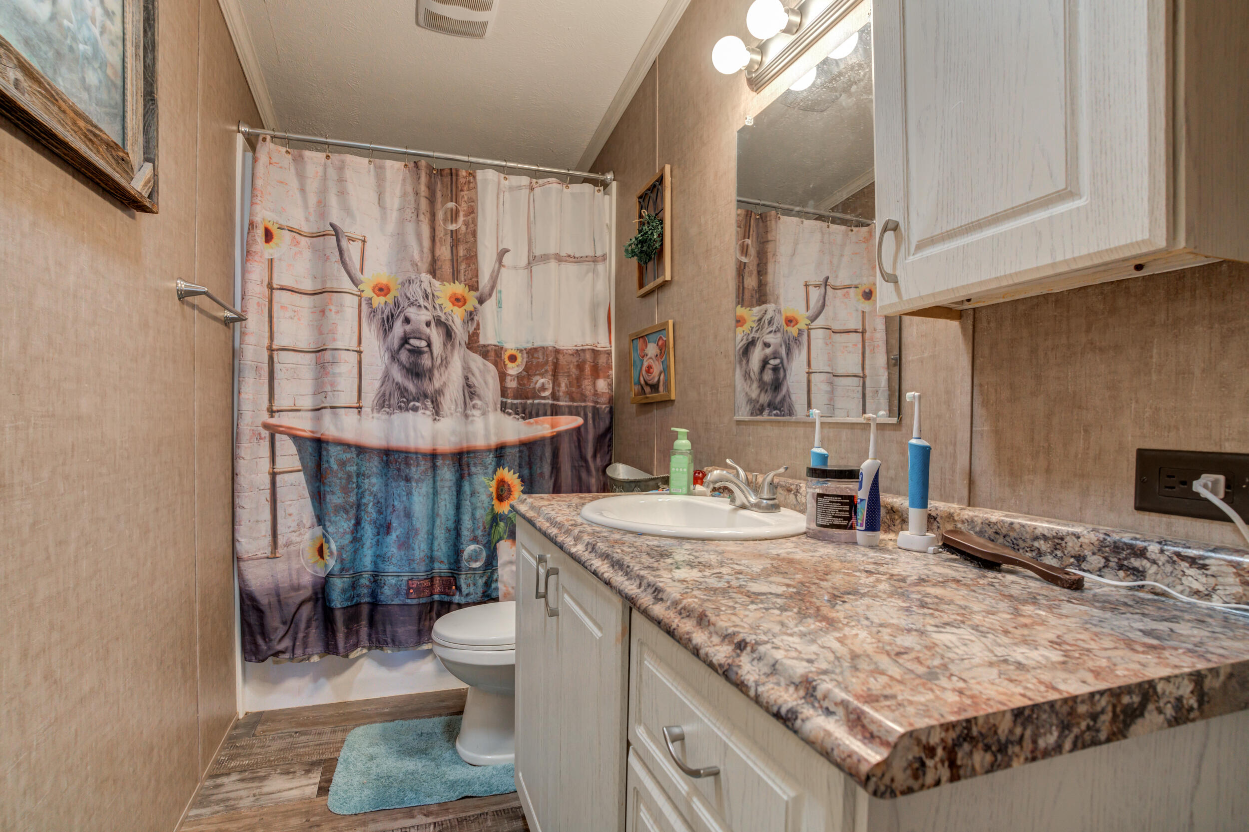 4726 County Road 5300 Lubbock, TX 79415 - Photo 41 of 53 a bathroom with a granite countertop sink a toilet and a mirror