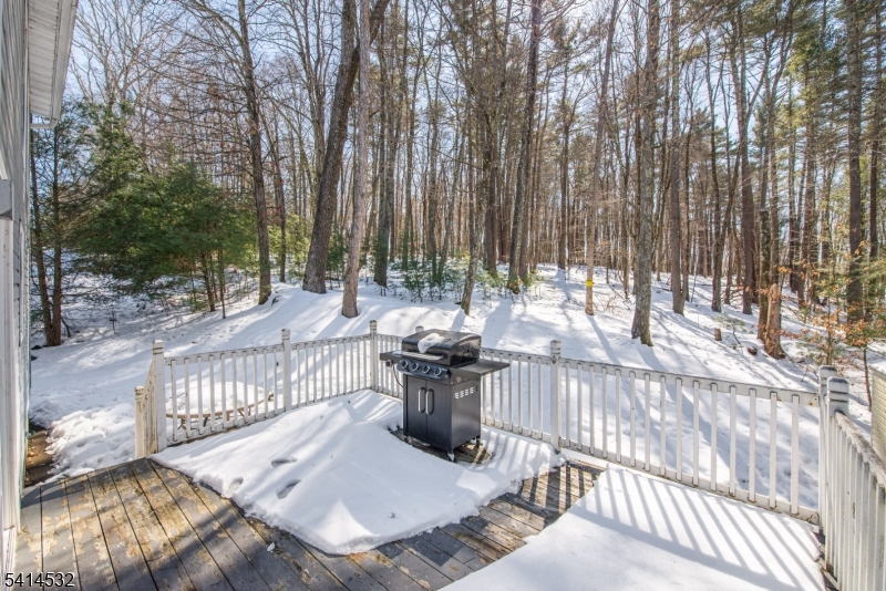 348 Rolling Ridge Road Montague, NJ 07827 - Photo 26 of 32