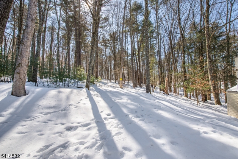 348 Rolling Ridge Road Montague, NJ 07827 - Photo 27 of 32