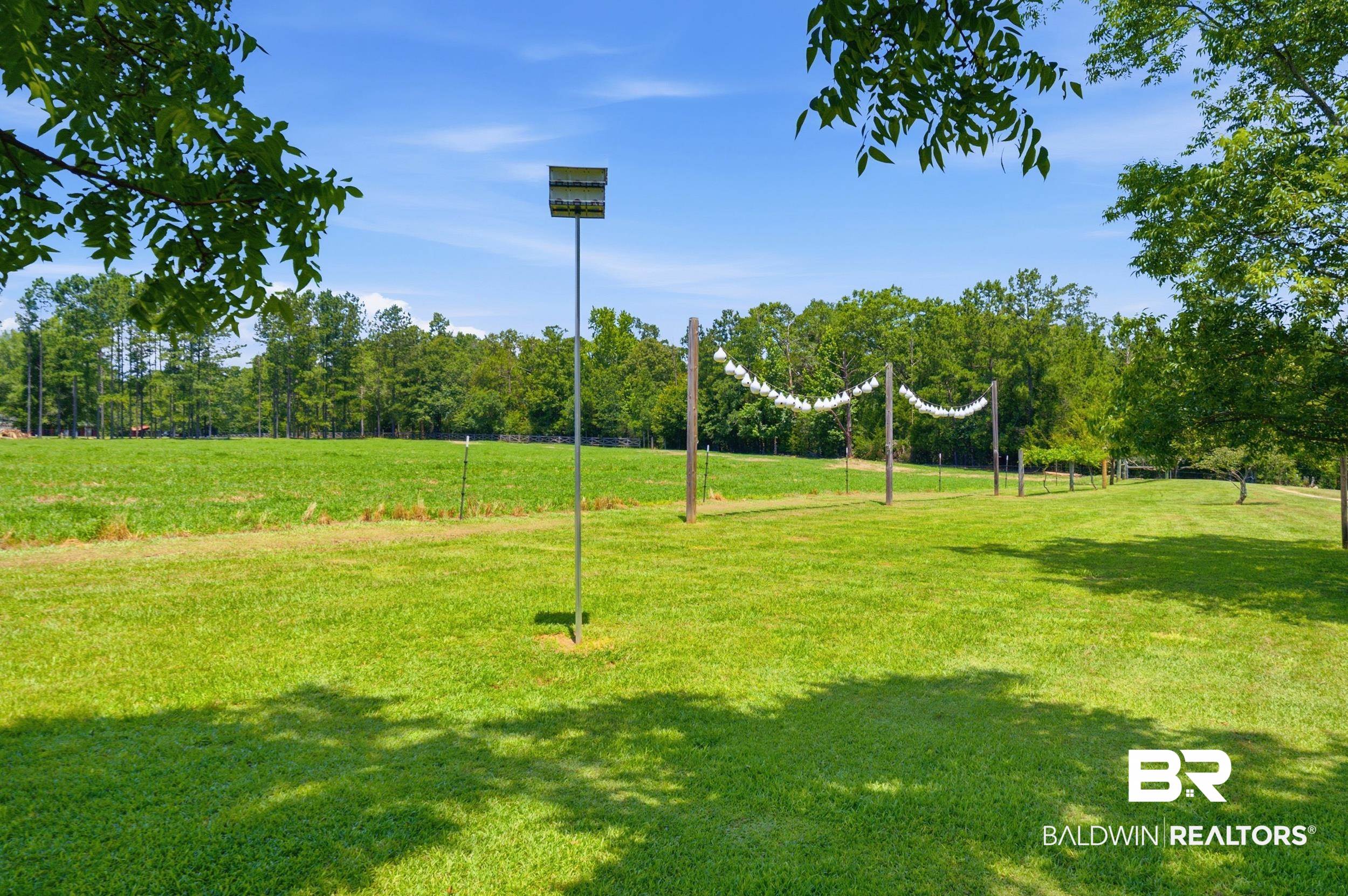 15855 Calvin Richerson Road Bay Minette, AL 36507 - Photo 72 of 83 Expansive green lawn with mature trees, offering a clear sky backdrop
