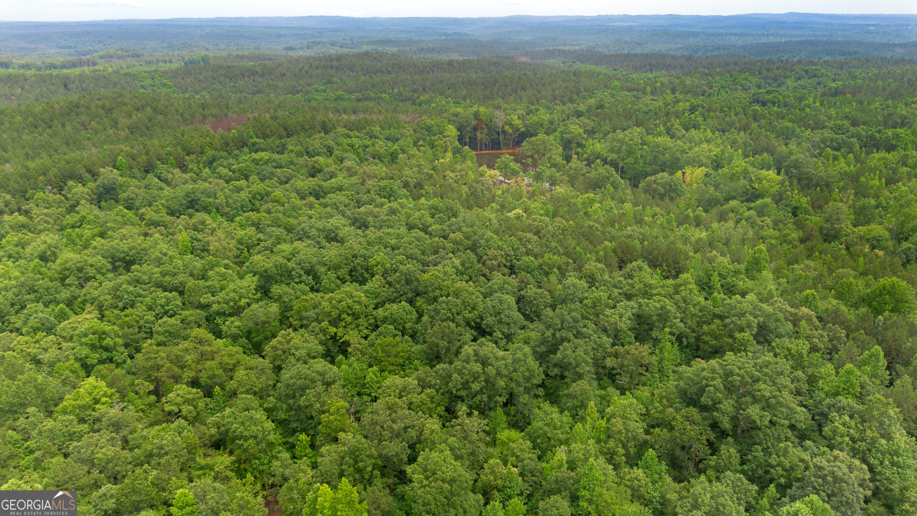 0 Vineyard Fruithurst, AL 36262 - Photo 12 of 21