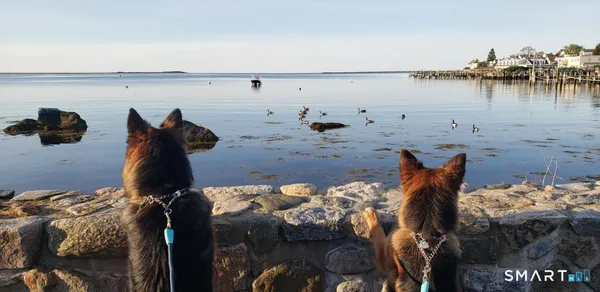 a view of ocean