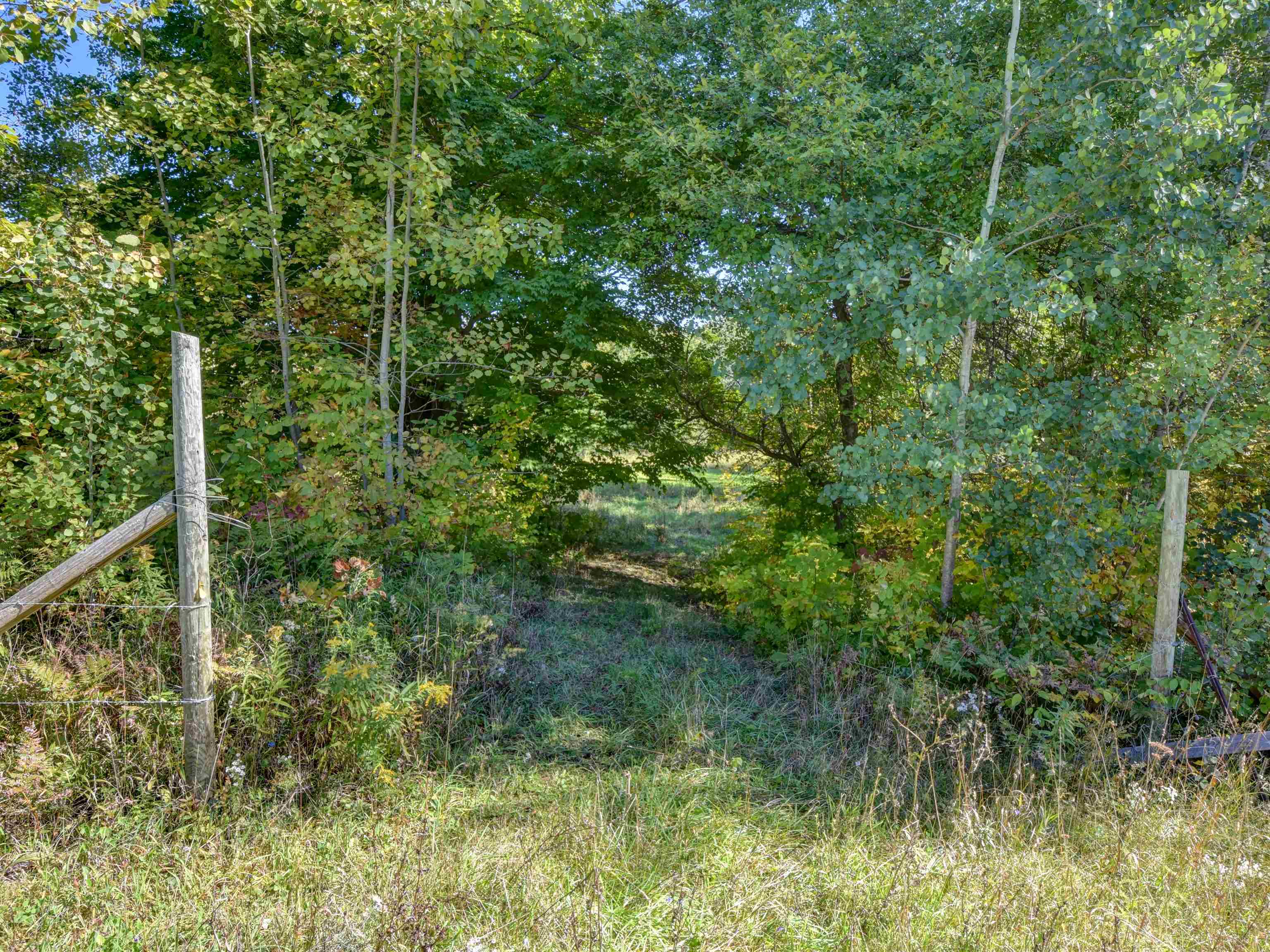 4300 Chappel Dam Road Gladwin, MI 48624 - Photo 36 of 68