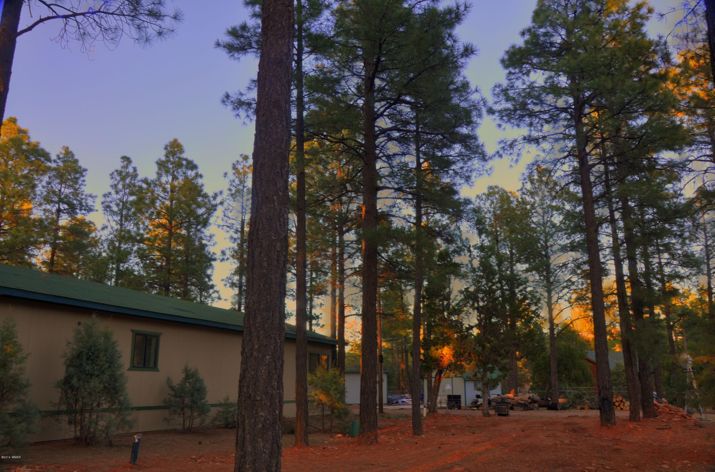 2136 Timber Trail Loop Overgaard, AZ 85933 - Photo 13 of 23