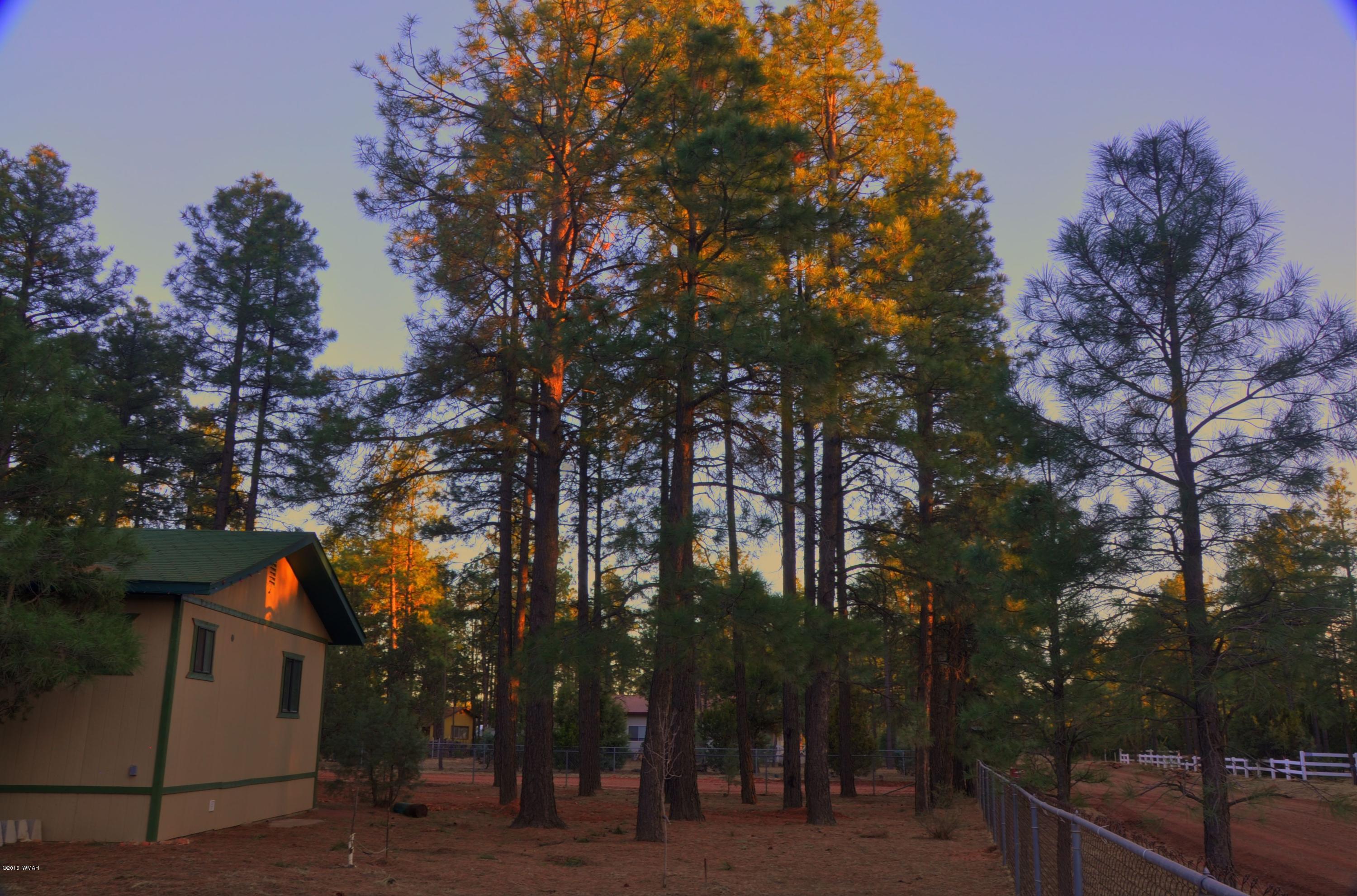 2136 Timber Trail Loop Overgaard, AZ 85933 - Photo 15 of 23