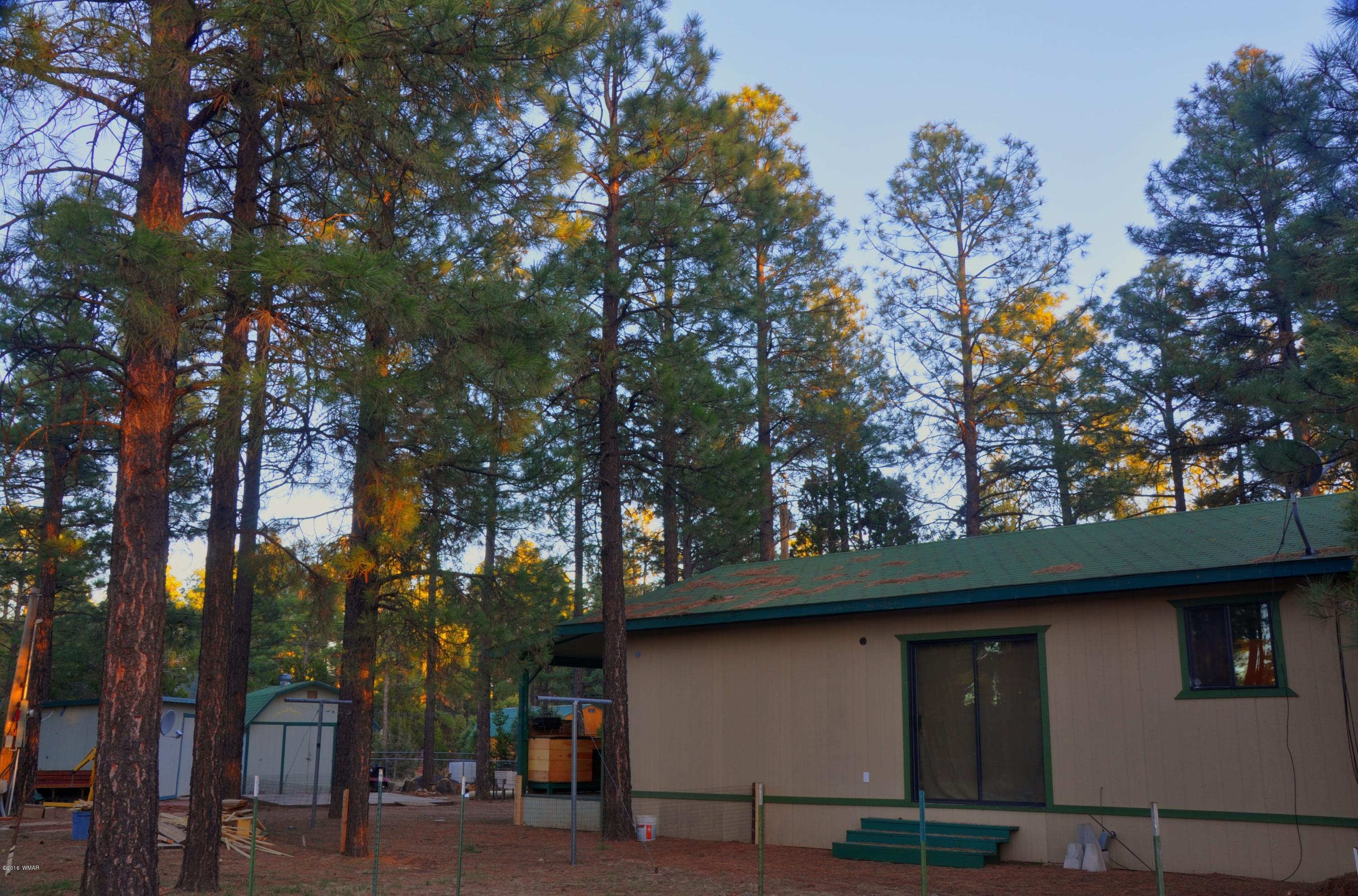 2136 Timber Trail Loop Overgaard, AZ 85933 - Photo 16 of 23