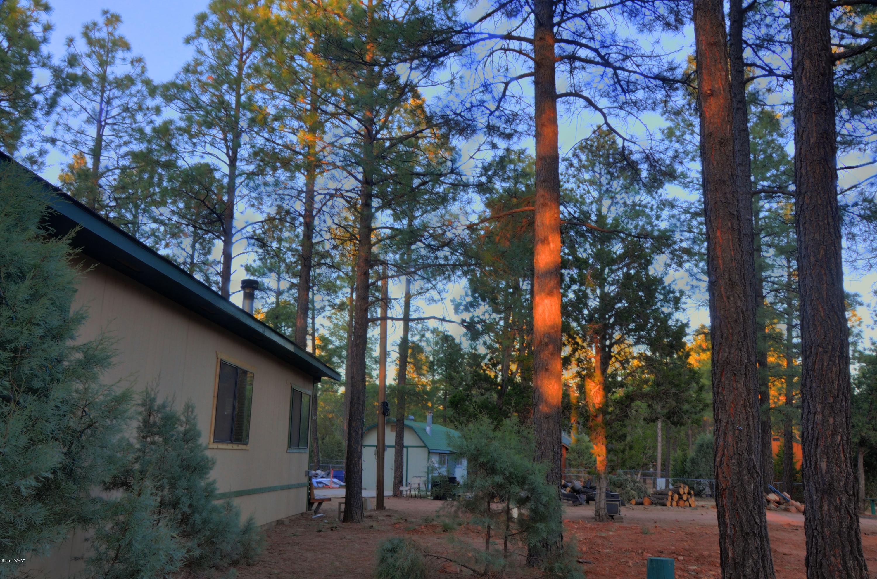 2136 Timber Trail Loop Overgaard, AZ 85933 - Photo 17 of 23