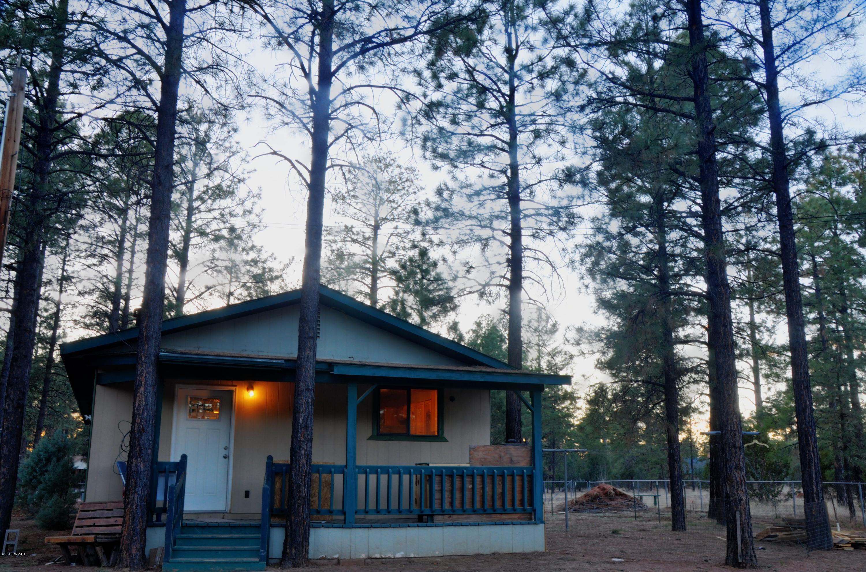 2136 Timber Trail Loop Overgaard, AZ 85933 - Photo 20 of 23