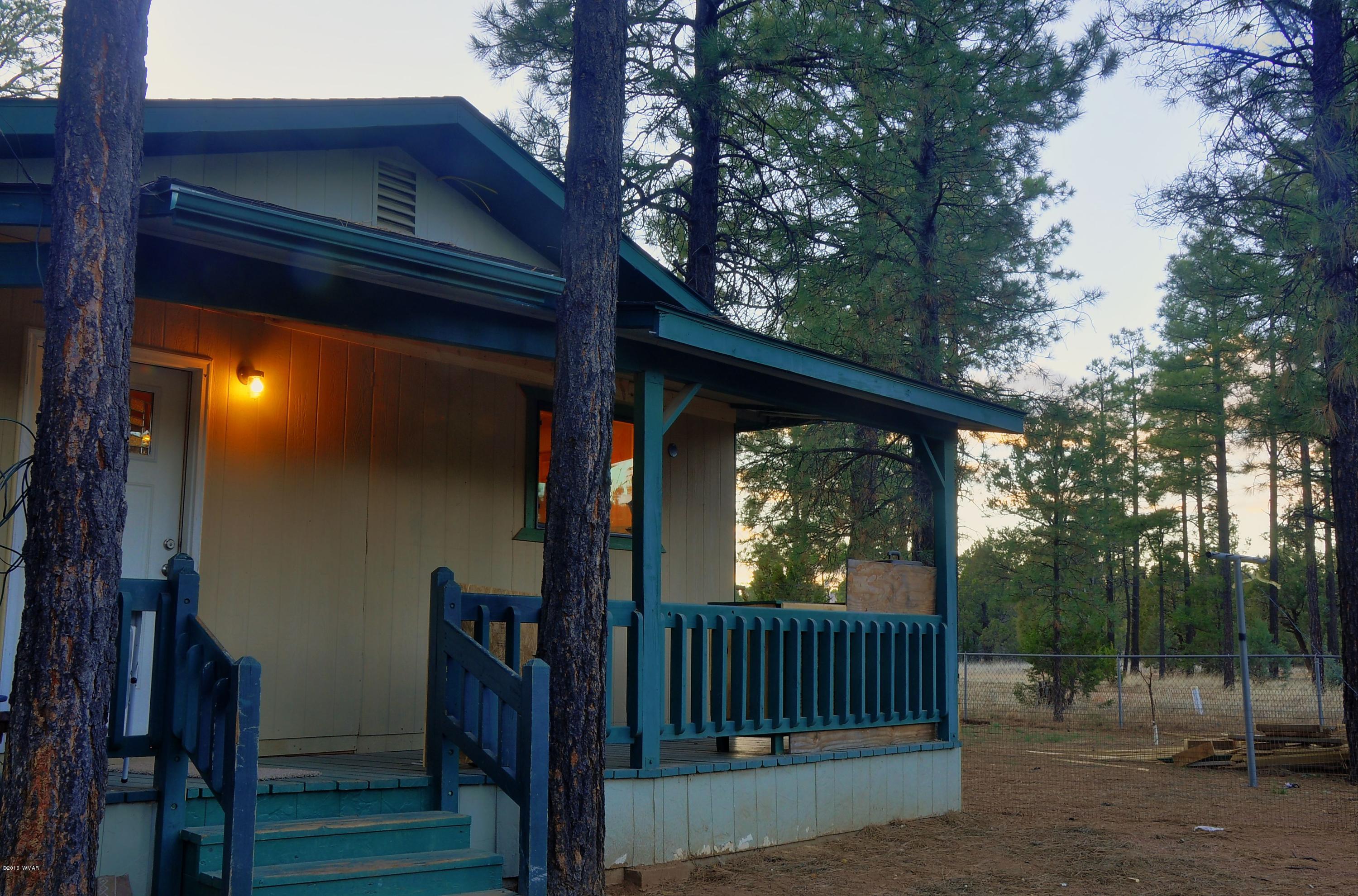2136 Timber Trail Loop Overgaard, AZ 85933 - Photo 22 of 23