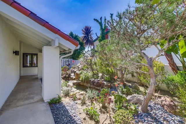 a view of a backyard with plants