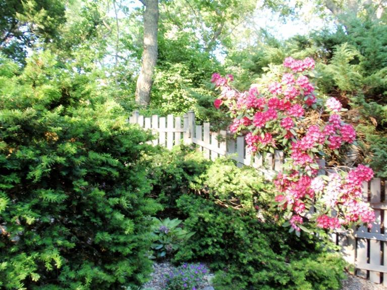 119 Old Dam Road Bourne, MA 02532 - Photo 21 of 25 Additional Photo