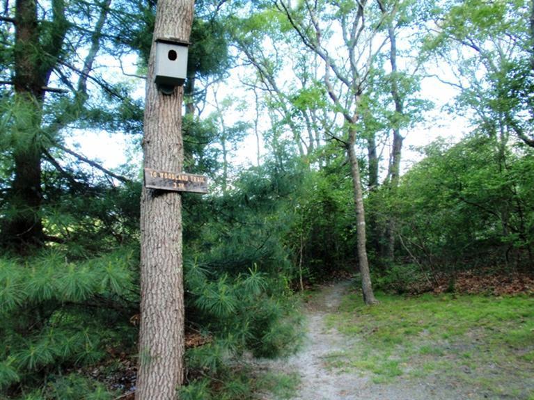 119 Old Dam Road Bourne, MA 02532 - Photo 25 of 25 Additional Photo