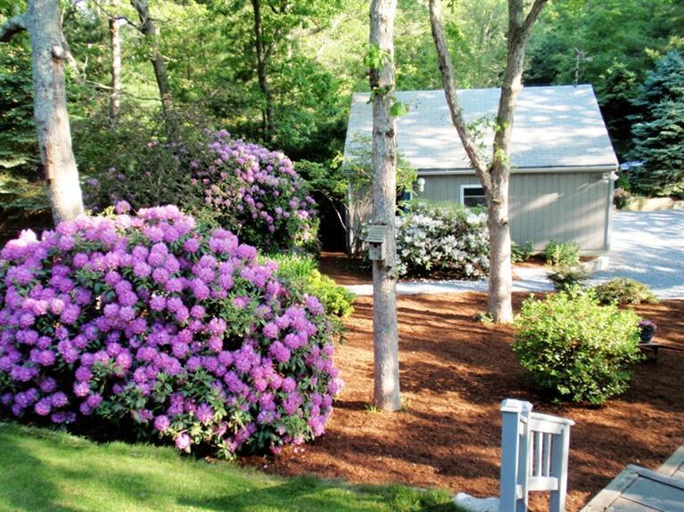 119 Old Dam Road Bourne, MA 02532 - Photo 3 of 25 Additional Photo