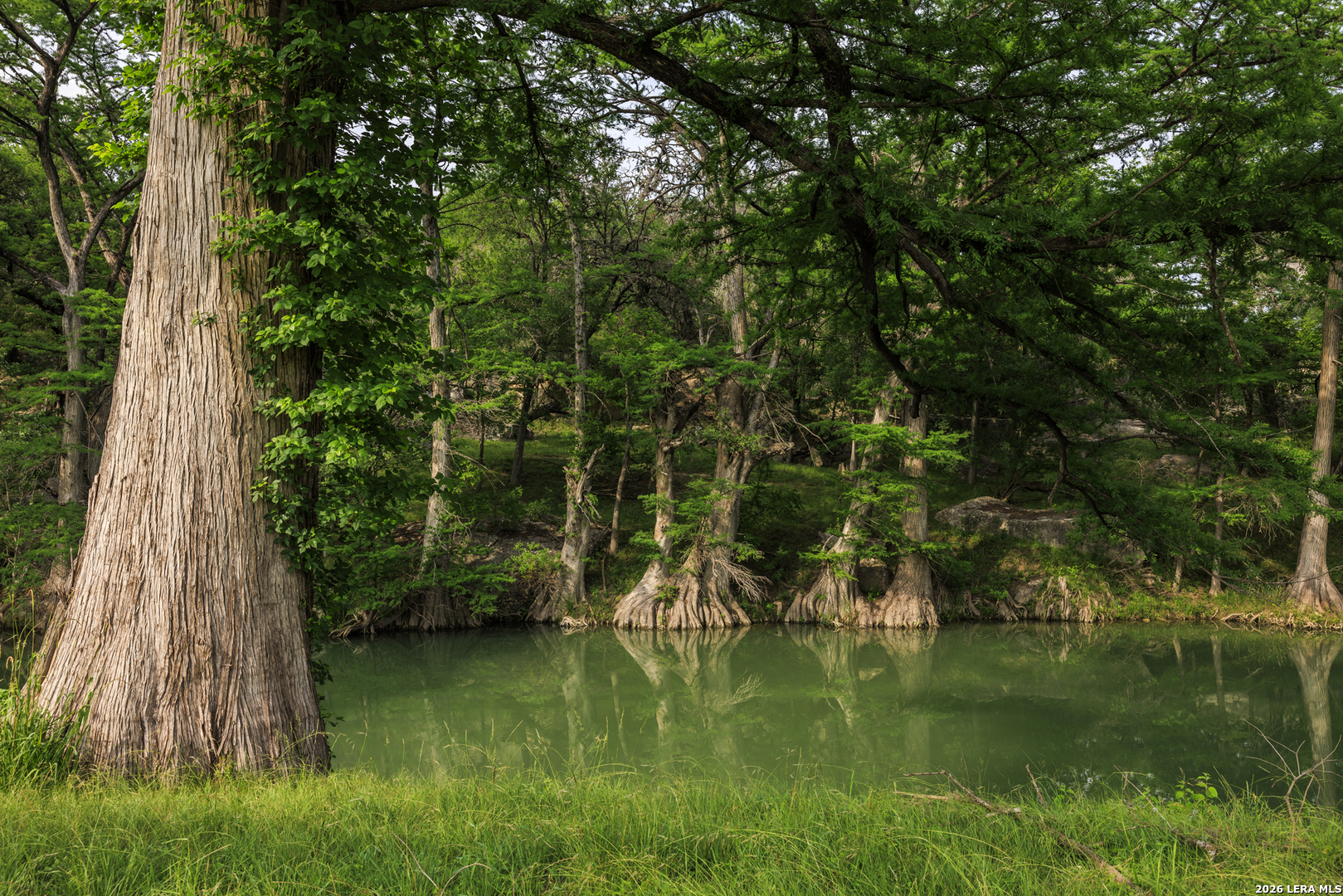0 Cypress River Ranch Comfort, TX 78013 - Photo 15 of 50