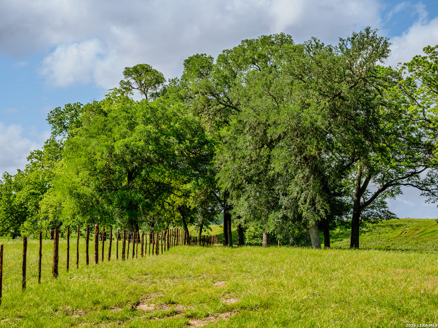 0 Cypress River Ranch Comfort, TX 78013 - Photo 16 of 50