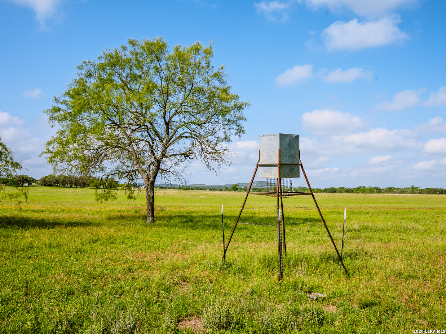 0 Cypress River Ranch Comfort, TX 78013 - Photo 20 of 50