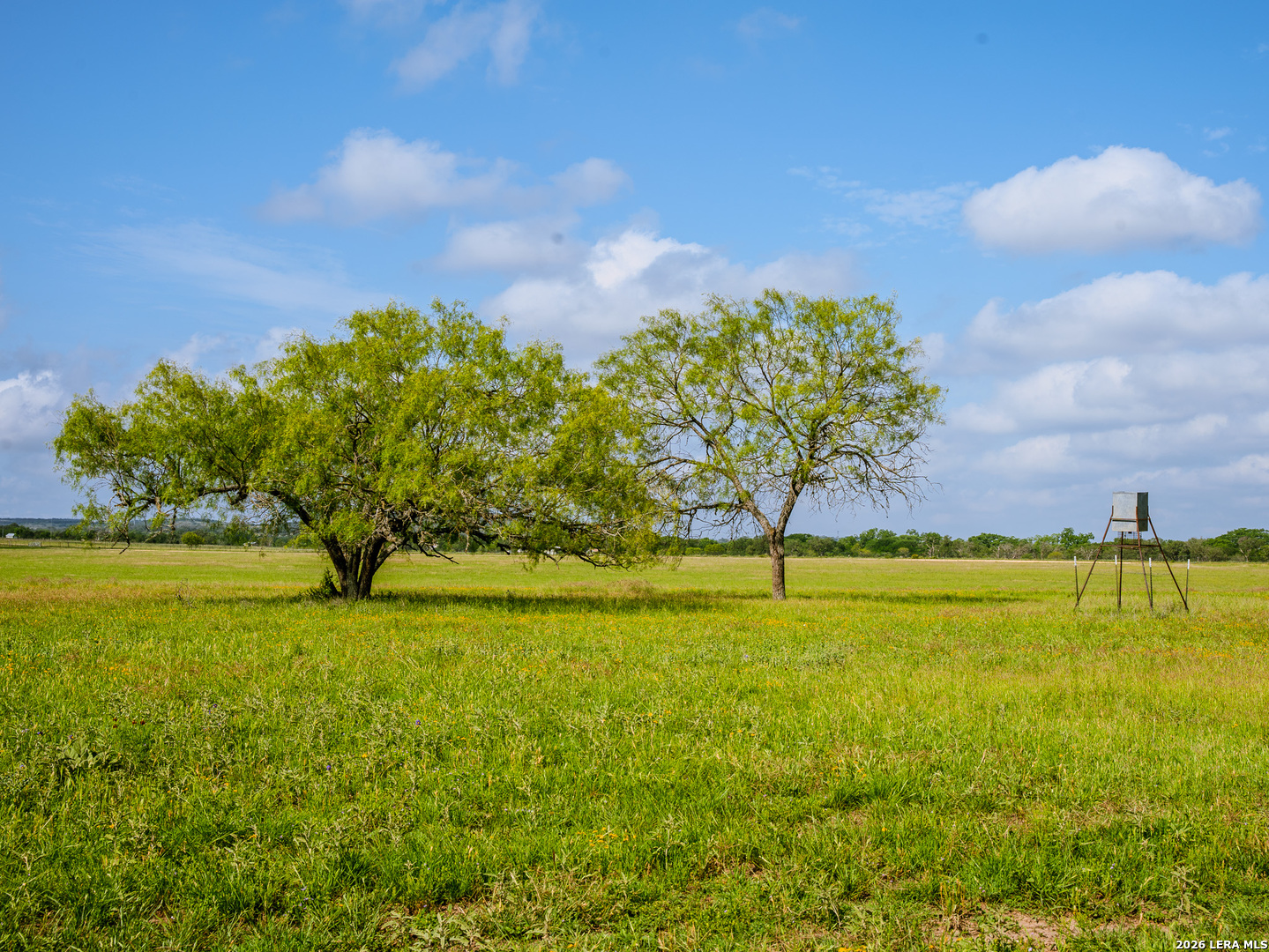 0 Cypress River Ranch Comfort, TX 78013 - Photo 26 of 50