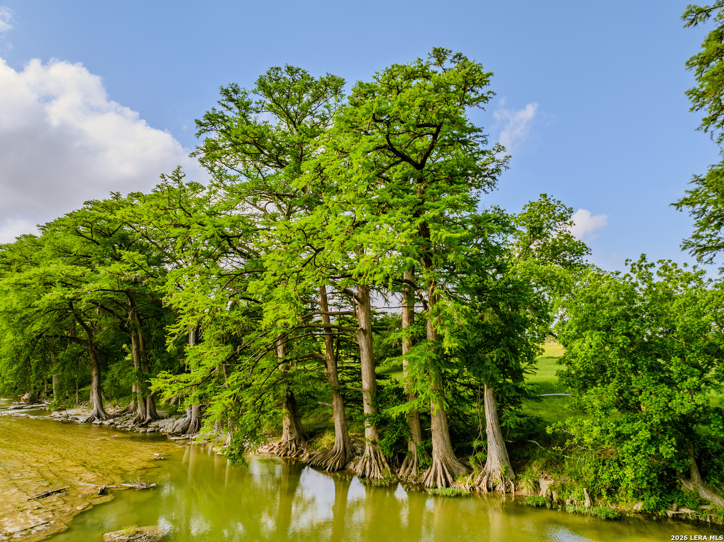 0 Cypress River Ranch Comfort, TX 78013 - Photo 9 of 50