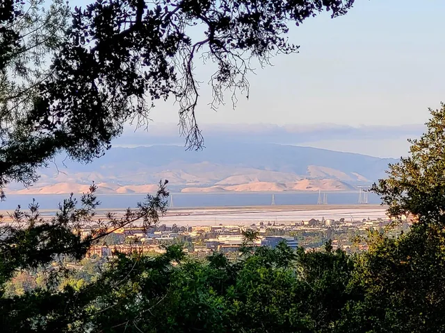 a view of balcony with wooden floor and fence