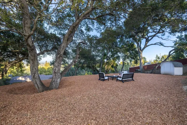a view of a garden with trees