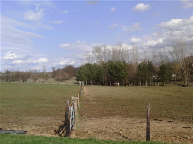 10340 Mougey Road Southwest Amanda, OH 43102 - Photo 6 of 8
