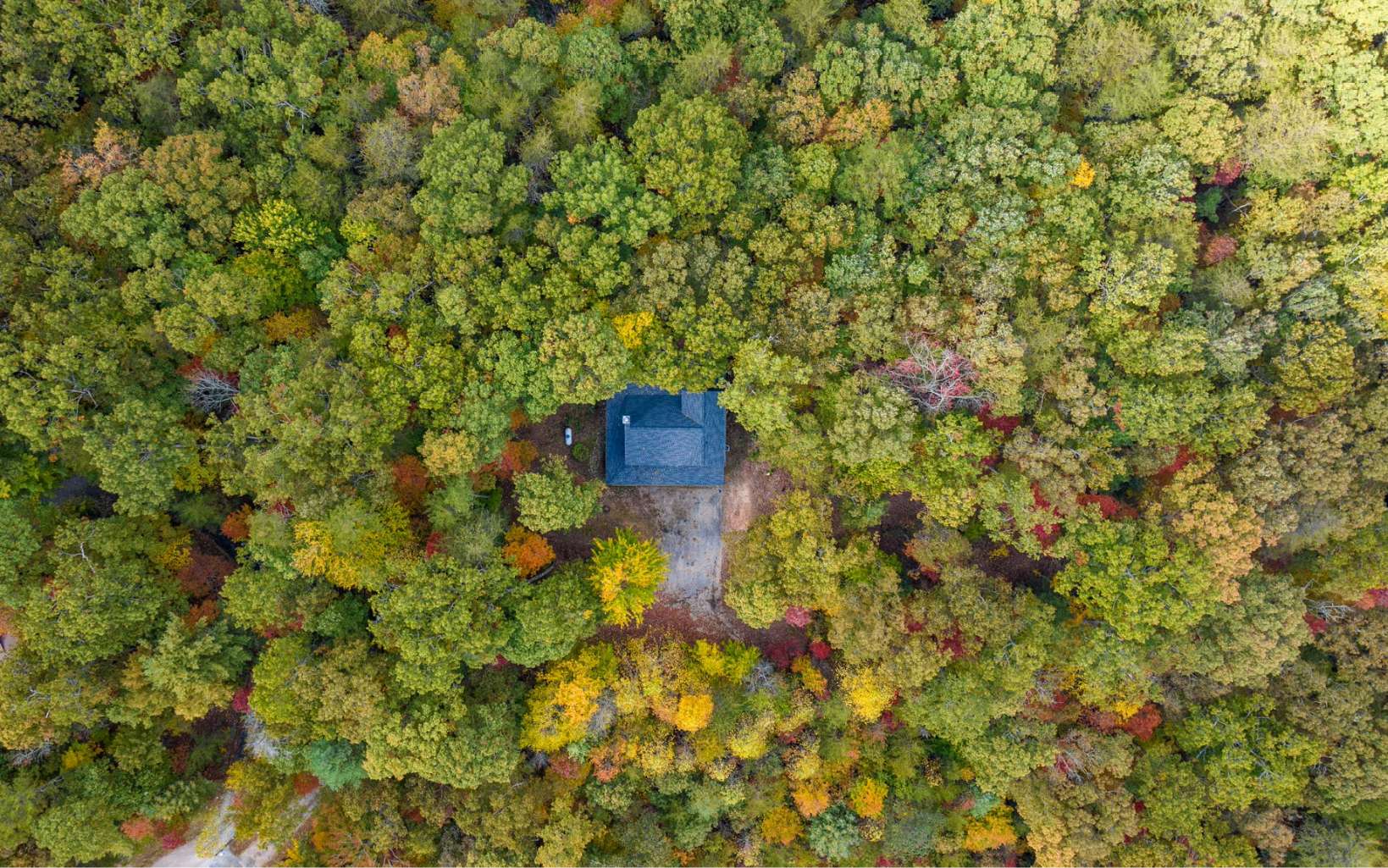 367 Linwood Drive Blue Ridge, GA 30513 - Photo 6 of 56 Additional View