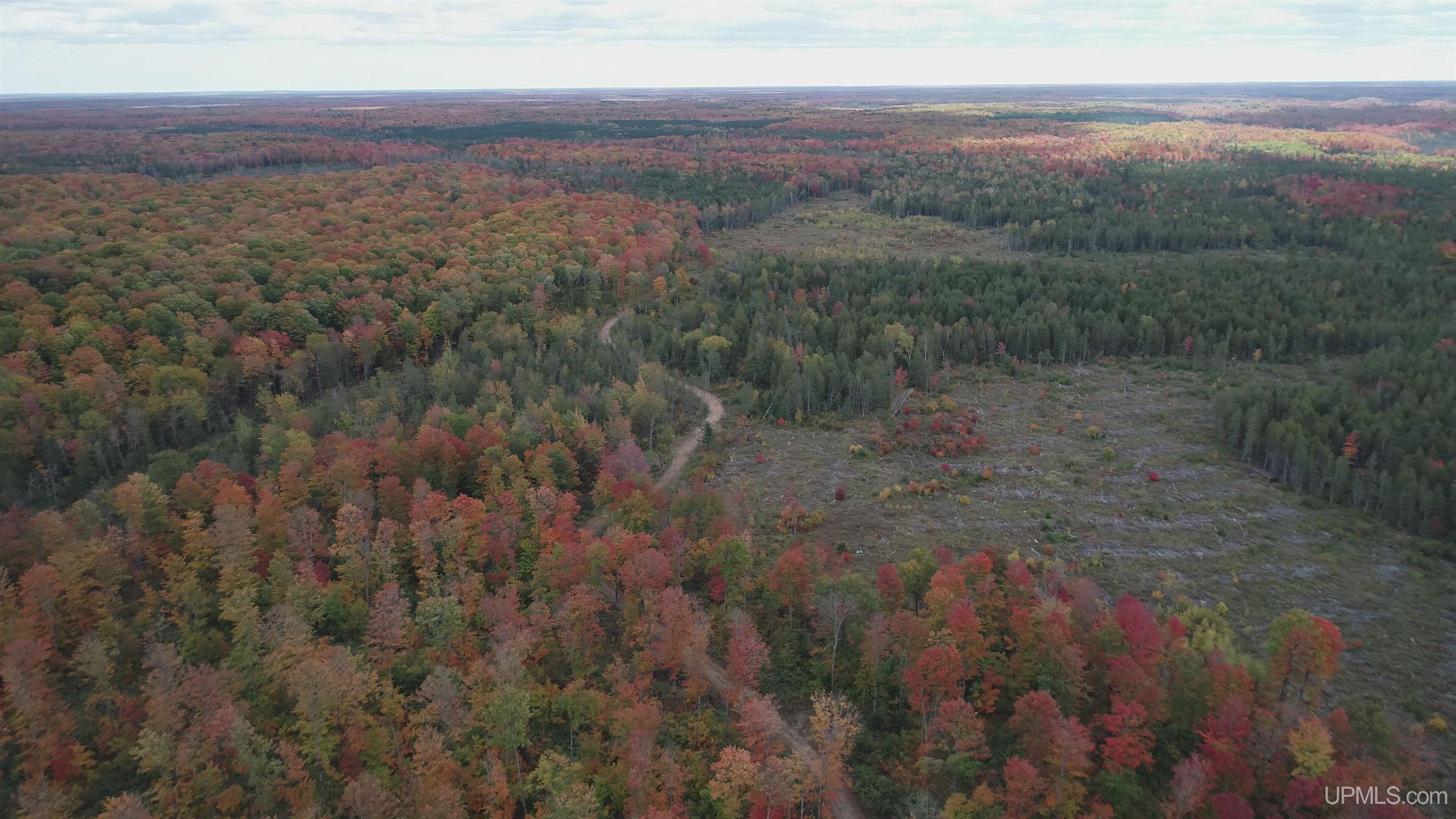 327 Rd Rumely Mi 49826 Road Skandia, MI 49885 - Photo 2 of 23
