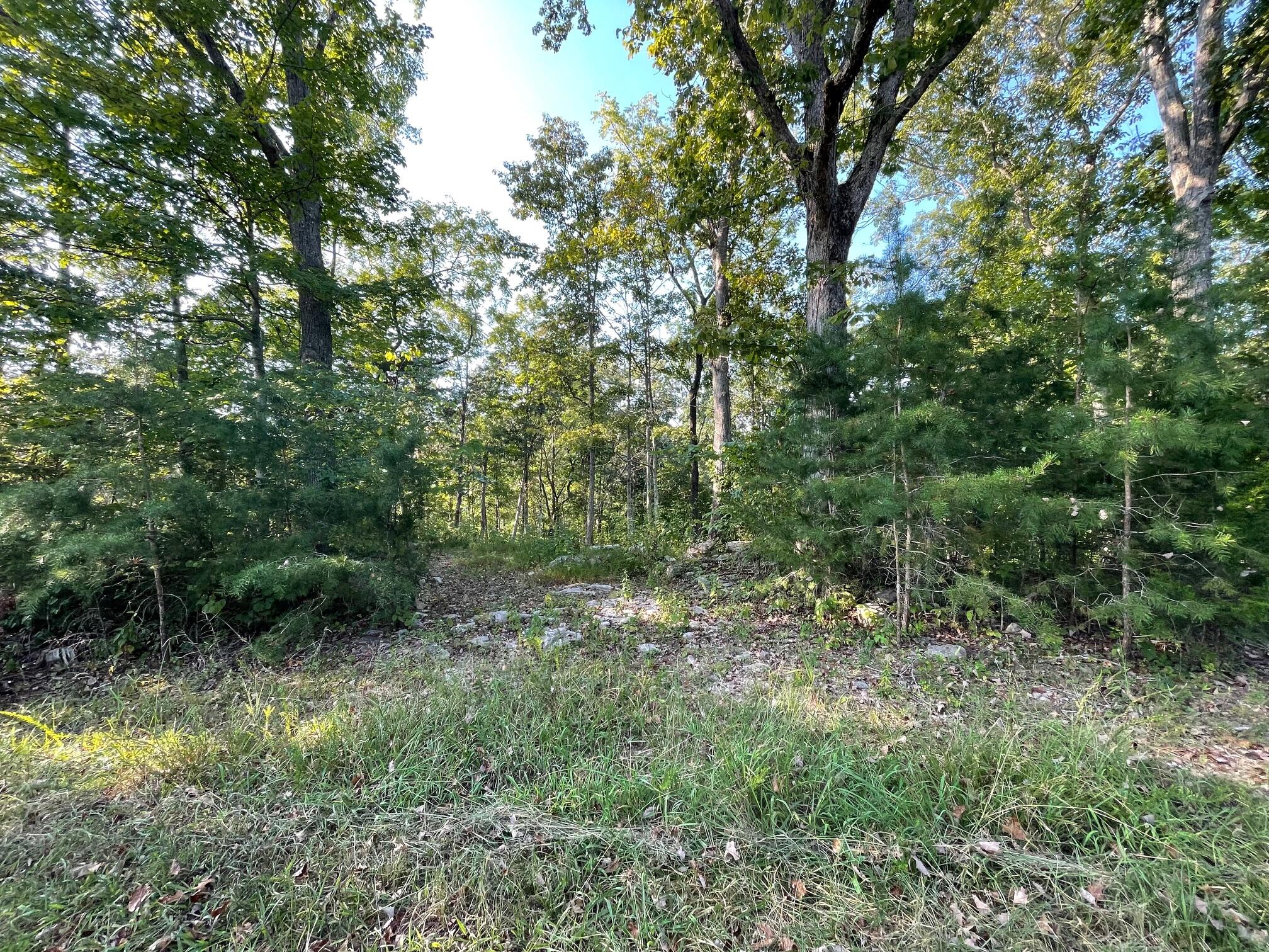 1966 Echo Point Road Bronston, KY 42518 - Photo 14 of 19 IMG_3428