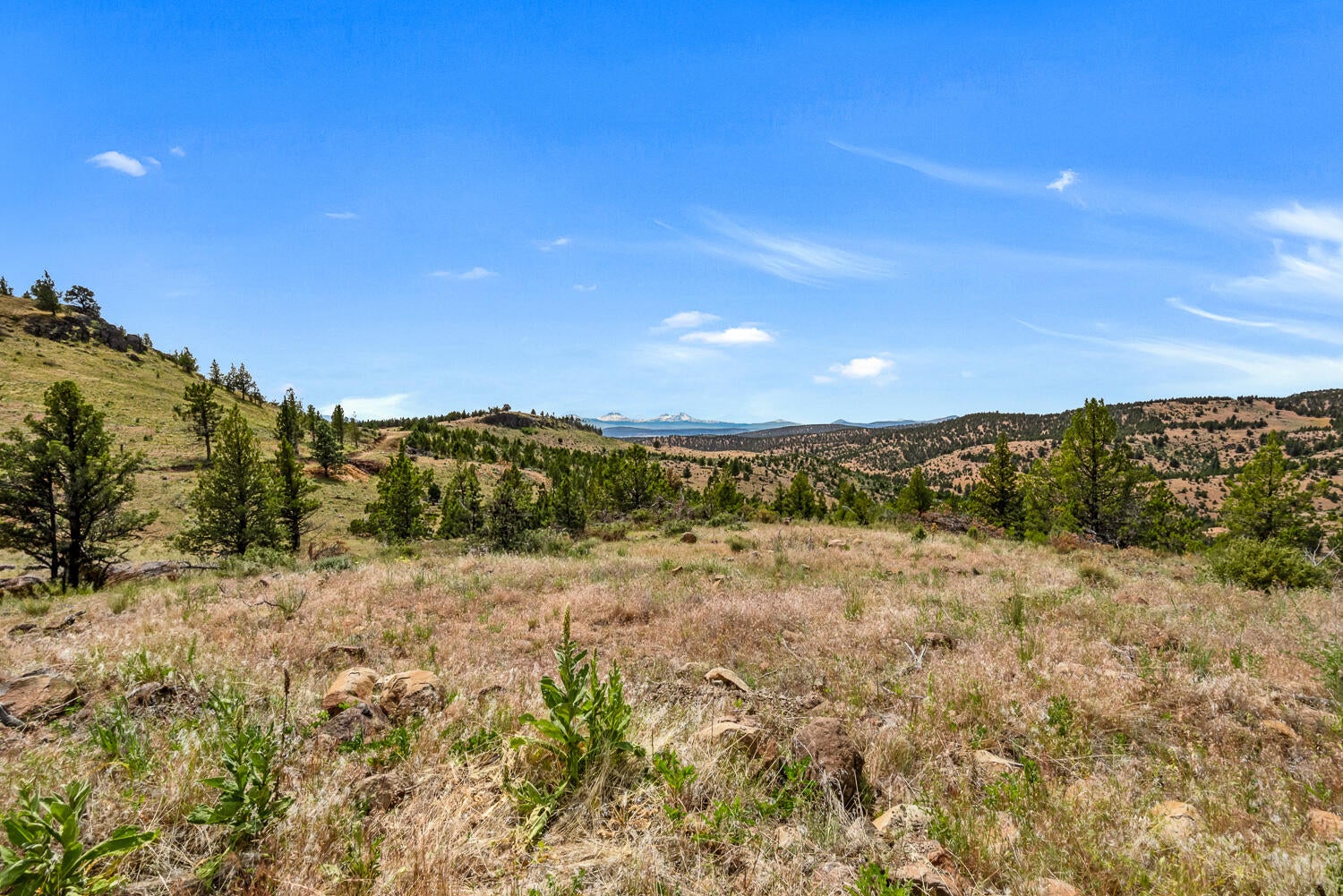 9988 Northeast Cody Ridge Road Prineville, OR 97754 - Photo 29 of 49 Cody Ridge 029