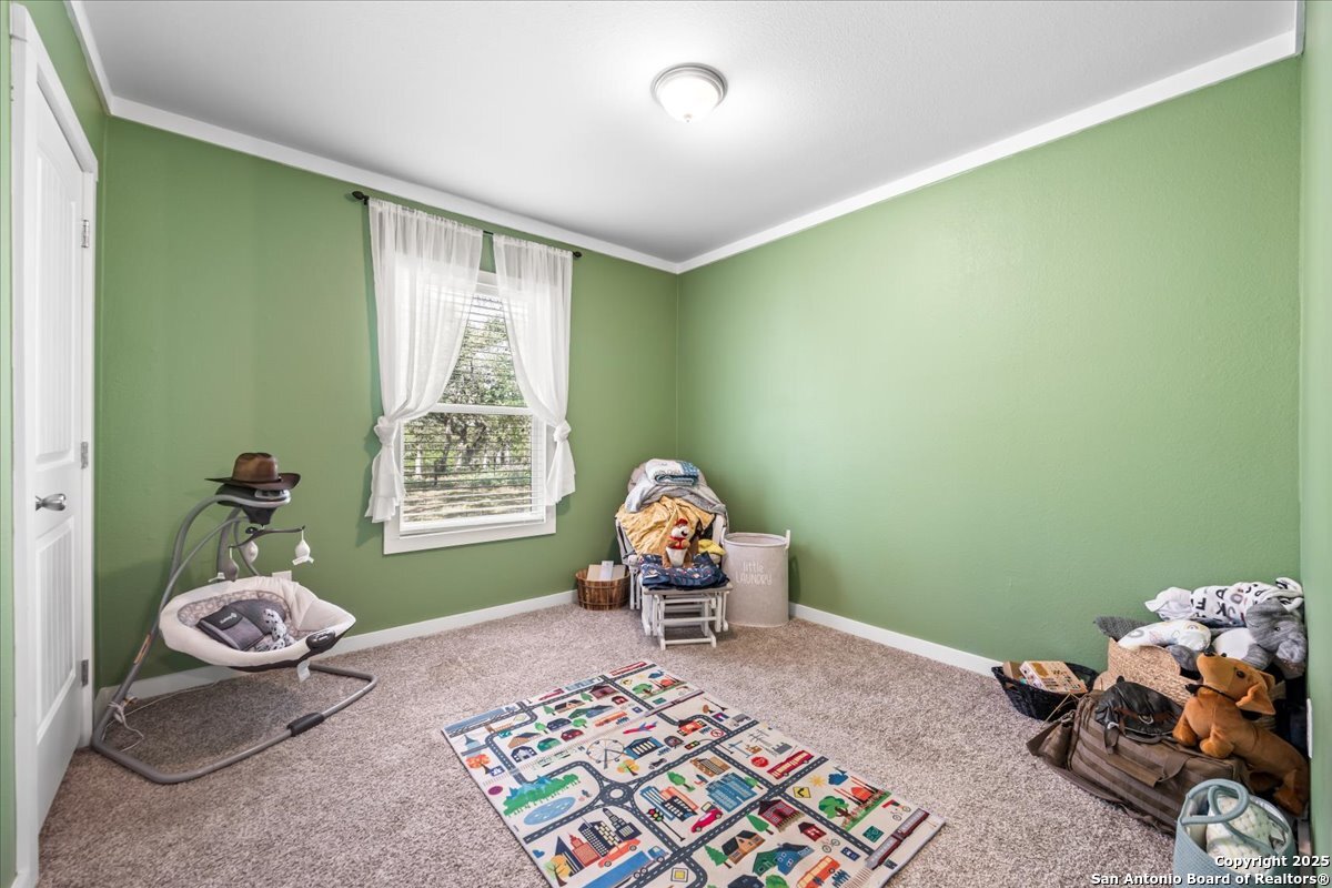 1291 Vivroux Ranch Road Seguin, TX 78155 - Photo 19 of 44 a living room with furniture and a window