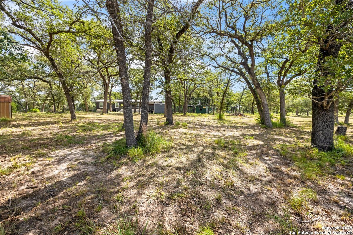 1291 Vivroux Ranch Road Seguin, TX 78155 - Photo 25 of 44 a view of yard with trees