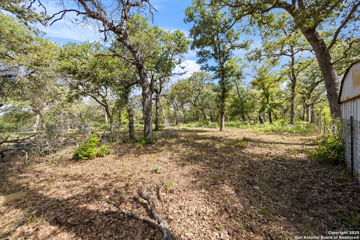 1291 Vivroux Ranch Road Seguin, TX 78155 - Photo 27 of 44 a view of outdoor space with trees
