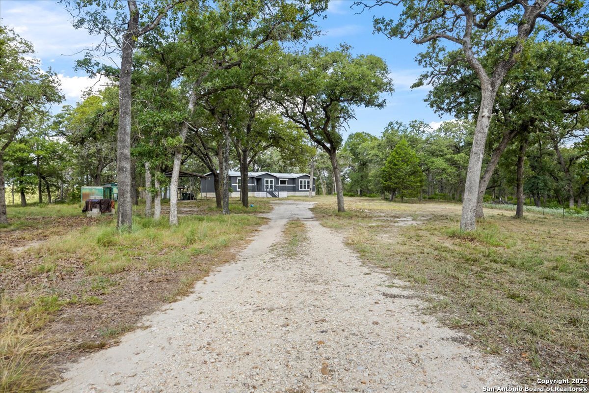 1291 Vivroux Ranch Road Seguin, TX 78155 - Photo 31 of 44 a view of a tree in a yard