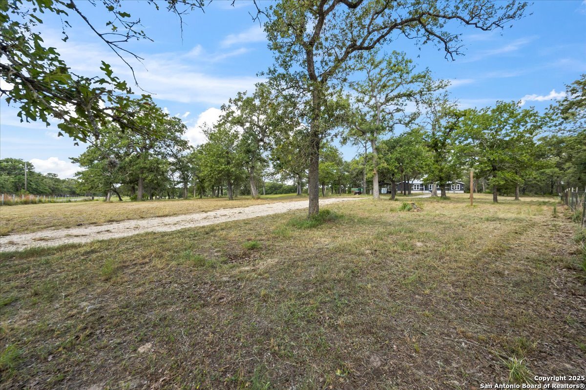1291 Vivroux Ranch Road Seguin, TX 78155 - Photo 32 of 44 a view of field with trees in the background