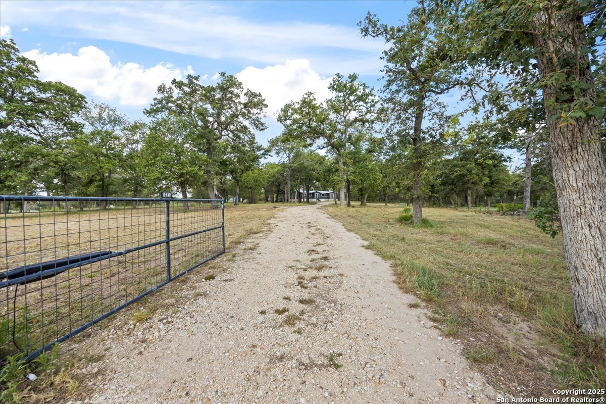 1291 Vivroux Ranch Road Seguin, TX 78155 - Photo 33 of 44 a view of a yard with large trees