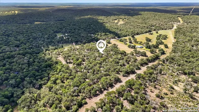 a view of a tree with a yard