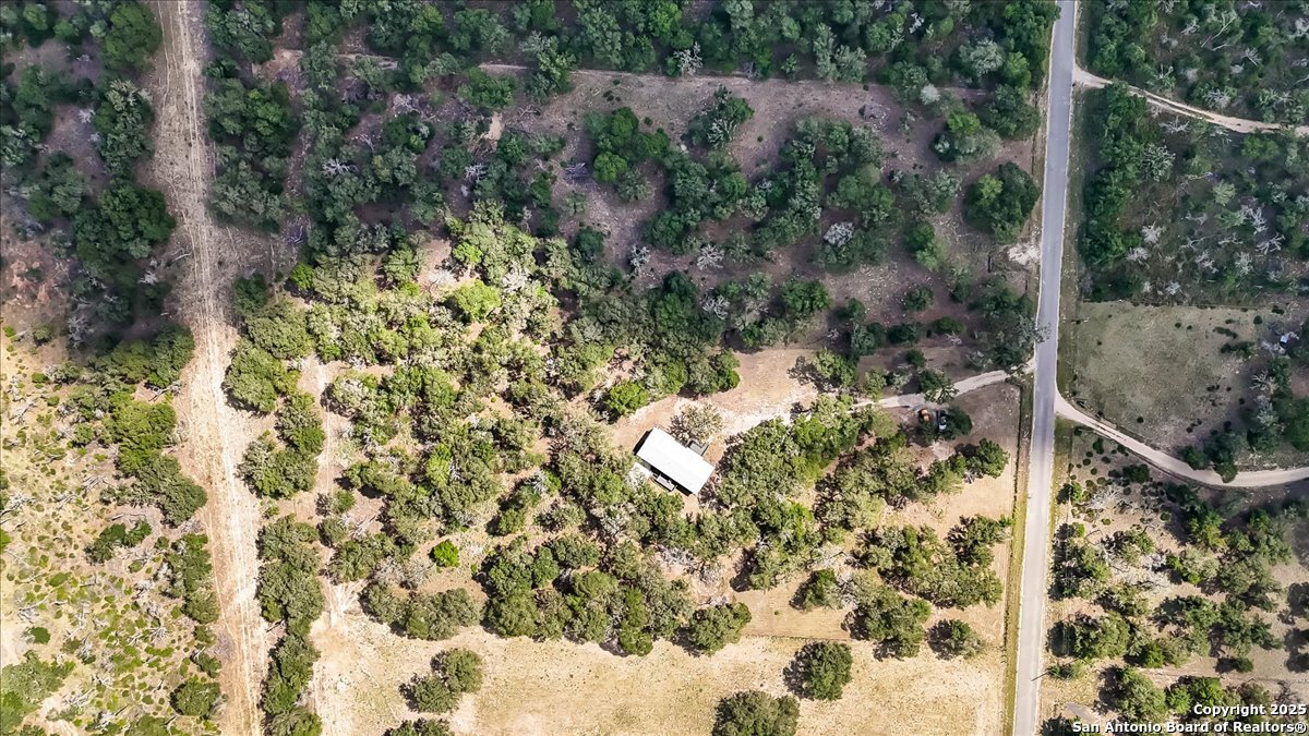 1291 Vivroux Ranch Road Seguin, TX 78155 - Photo 42 of 44 a view of a tree with a yard